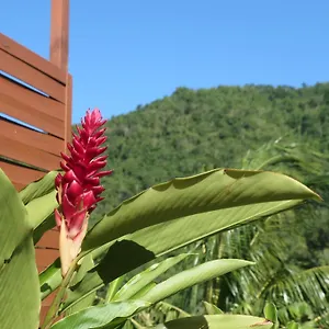  Hébergement de vacances Bougain Fleuri Guadeloupe
